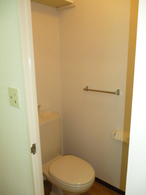 Toilet. There is a shelf, It is convenient to put small items such as. 