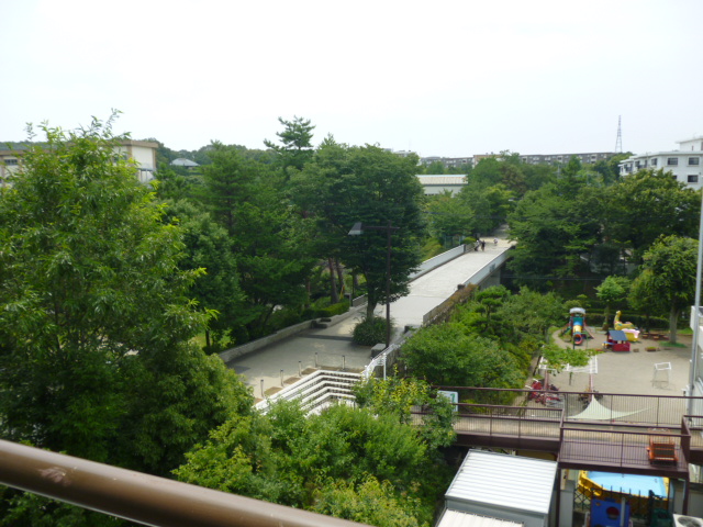 View. Lush view from the balcony. 