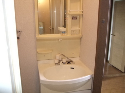 Washroom. Bathroom vanity