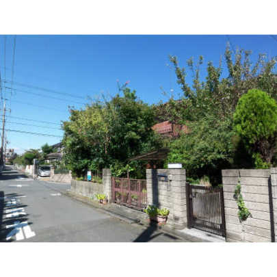 Local land photo. Local Photo 1