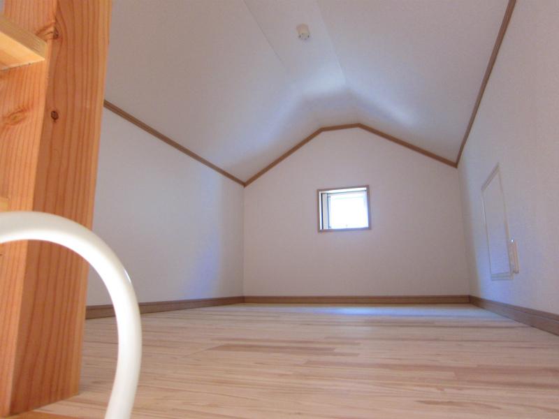 Other introspection. Use applications colorful loft