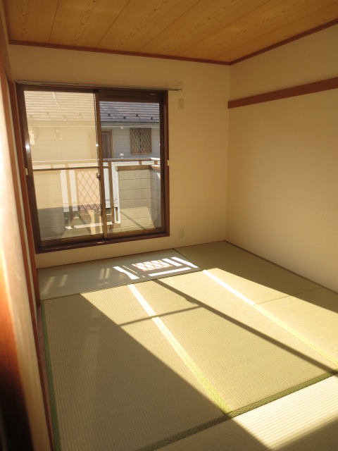 Living and room. room