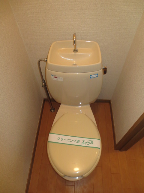 Toilet. Flush toilet