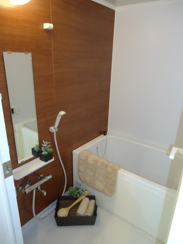 Bathroom. Indoor (12 May 2013) Shooting