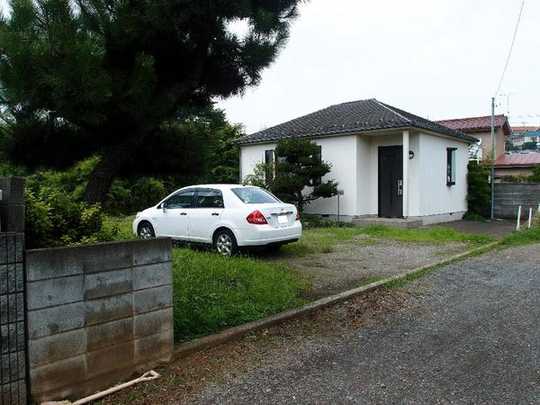 Local land photo. appearance