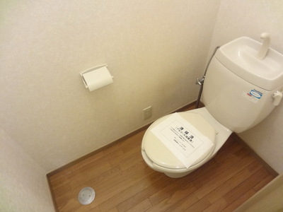 Toilet.  ☆ Clean toilet ☆