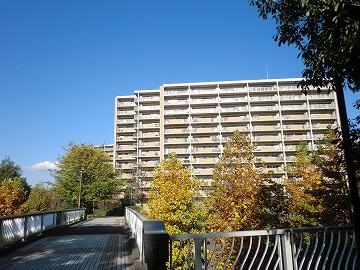 Local appearance photo. Appearance when viewed from the boardwalk