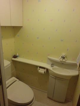 Toilet. Hand washing is a bowl with.