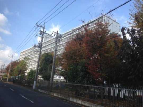 Local appearance photo