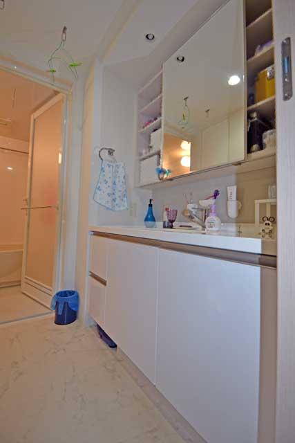 Wash basin, toilet. Indoor (September 2013) Shooting