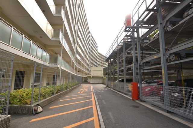 Parking lot. Common areas