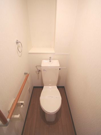 Toilet. These rooms of different in Room at the same floor plan (image)