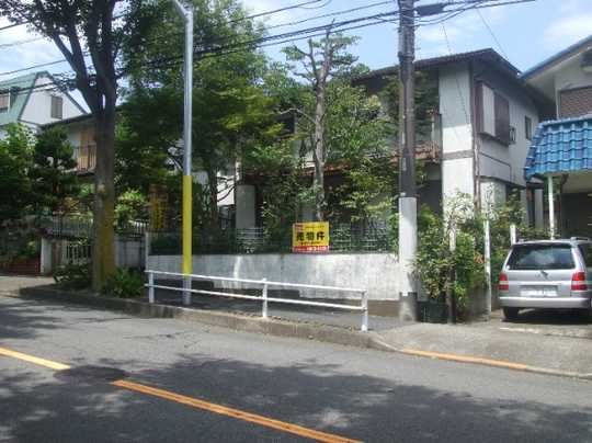 Local land photo. Appearance (1)