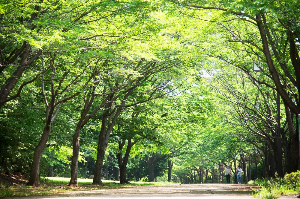 park. Lush natural environment has been preserved from the 410m long time ago to Osanai back park