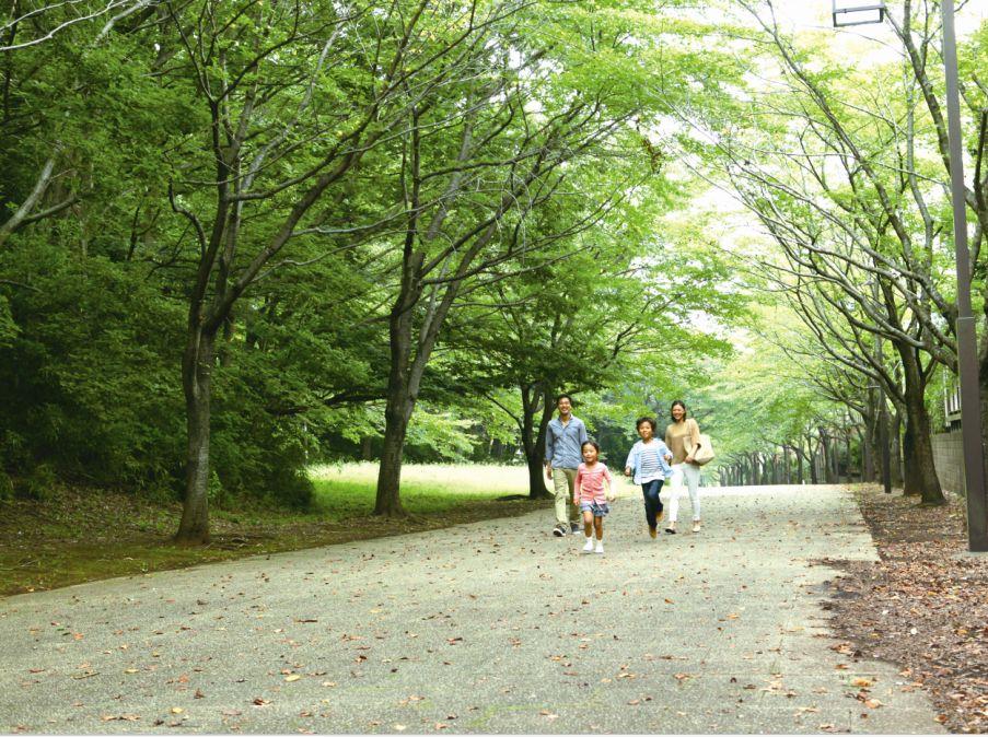 Other. ■ Osanai multipurpose Square and Dokkuran on the back park vast park, There is also a barbecue Square, Precious natural environment has been left to a variety of animals and plants and insects inhabit. (About 410 meters, 6-minute walk) <2013 May shooting>