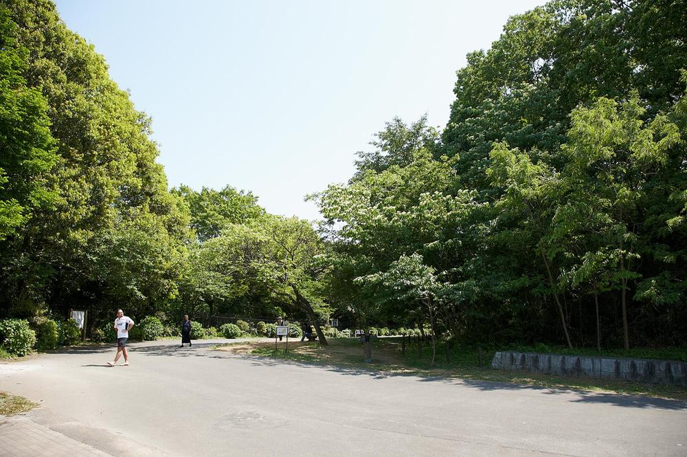 Other. Vast Osanai back park where you can enjoy is surrounded by such natural barbecue and running.