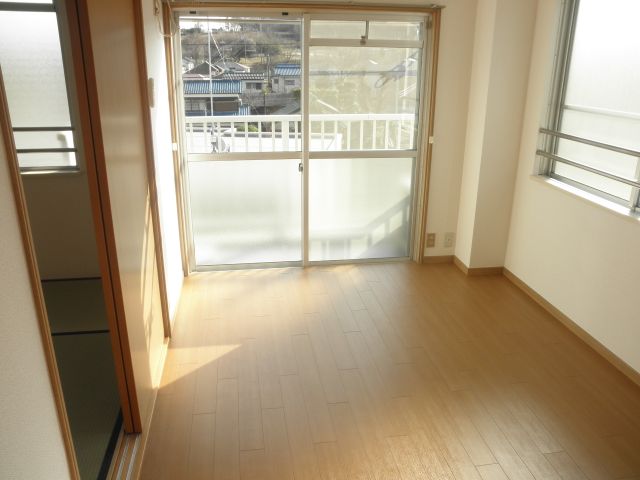 Living and room. Sunny bright room