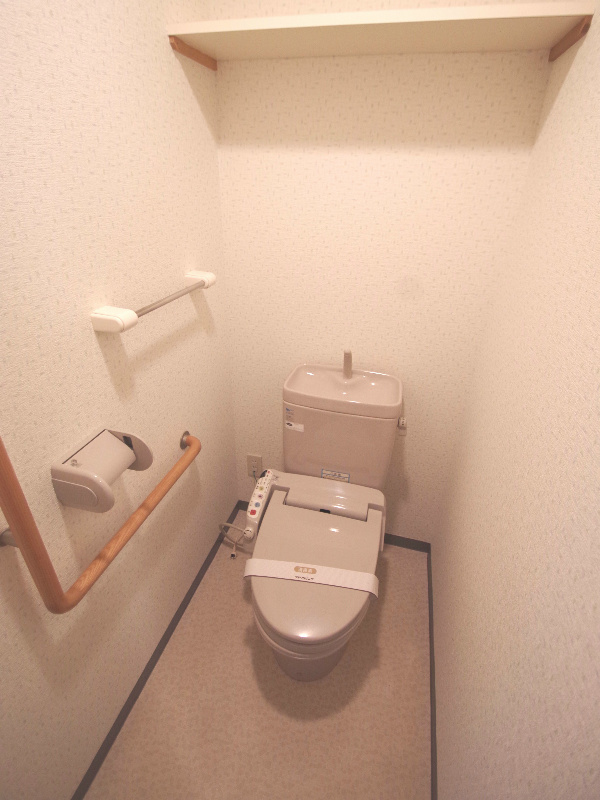 Toilet. Warm water washing toilet seat there is a shelf at the top!