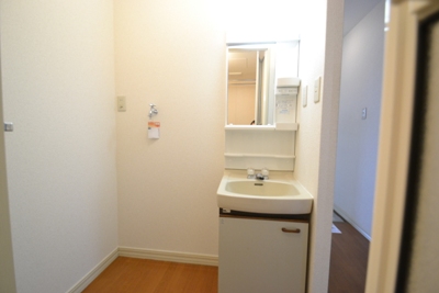 Washroom. Wash basin