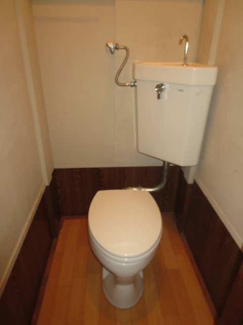 Toilet. Flush toilet