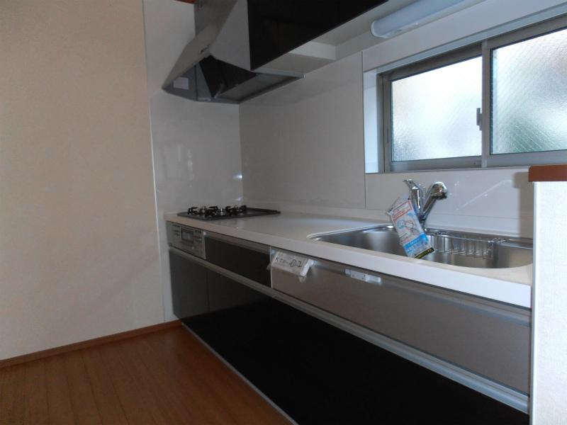 Kitchen. Indoor (11 May 2013) Shooting