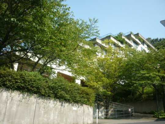 Local appearance photo. Appearance 1