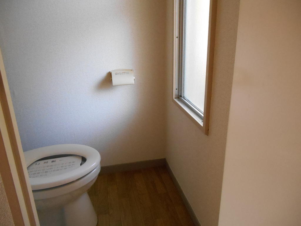 Toilet. Bright toilet