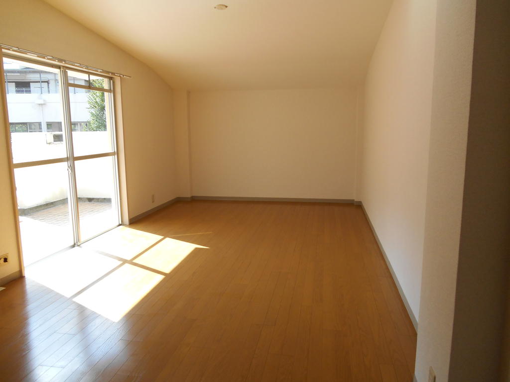 Living and room. Bright living room