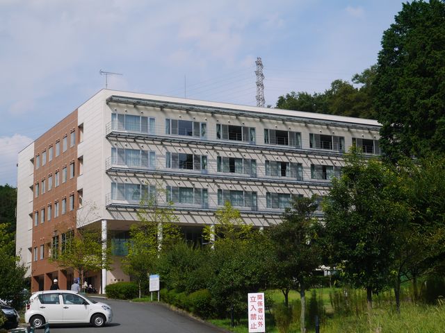 Hospital. Sanai 790m to the hospital (hospital)