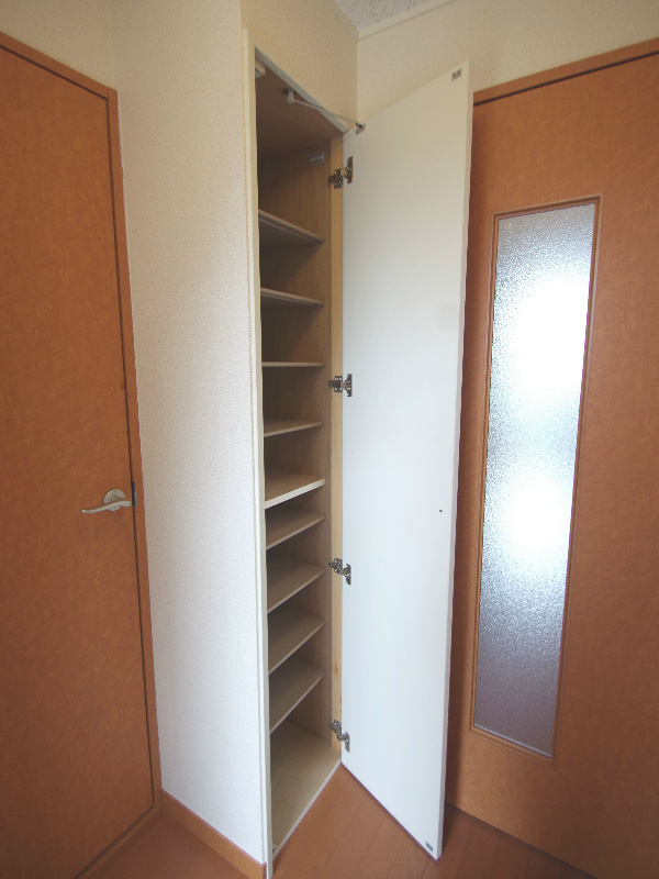 Other. Entrance shoe box