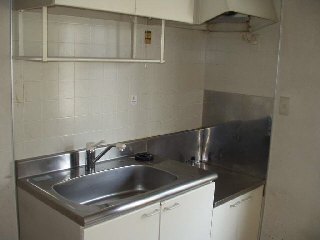 Kitchen. Two-necked gas stove can be installed. 