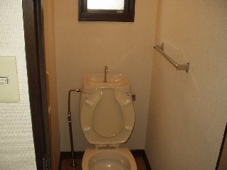 Toilet. A clean toilet. 