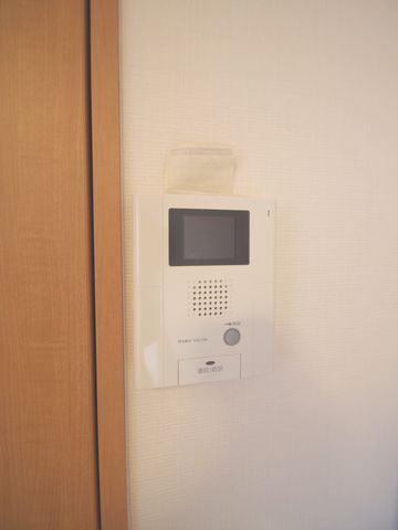 Security. Visitors also peace of mind TV Monitahon