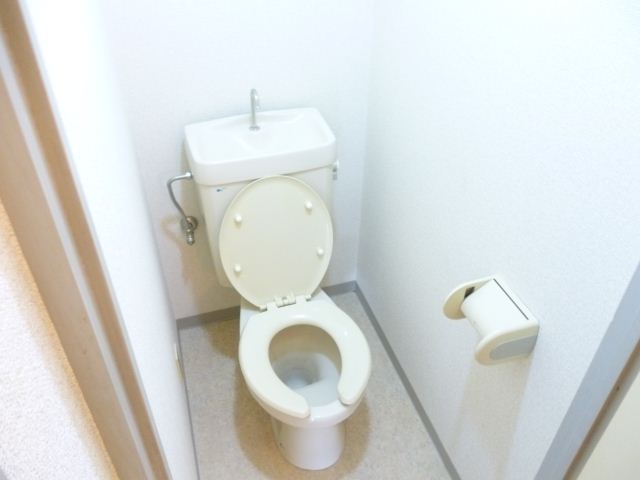 Toilet. Toilet