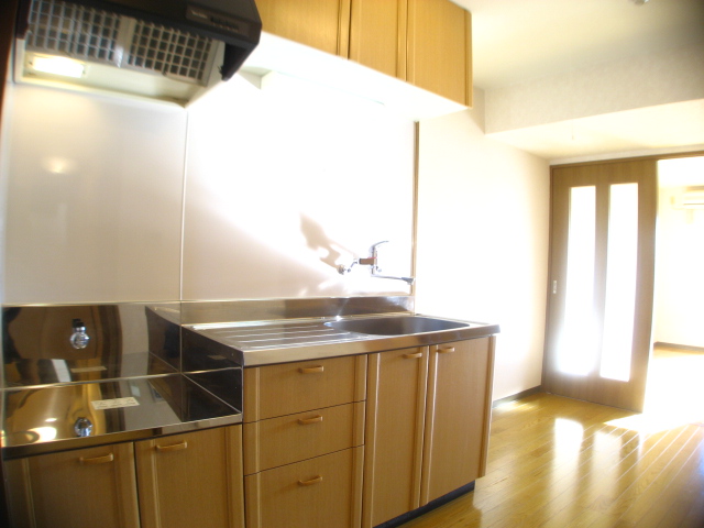 Kitchen. Large sink with 2 lot gas stoves can be installed width