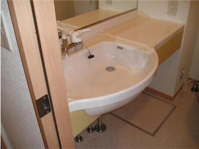 Washroom. Handy with shampoo dresser in the morning.