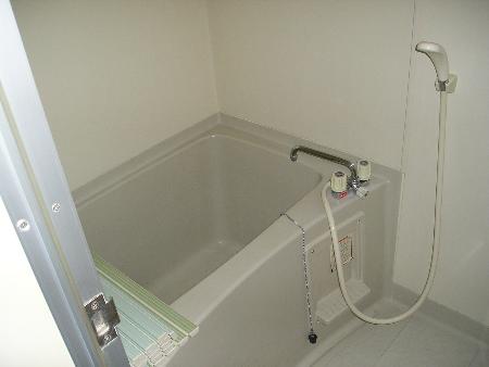 Bath. It is a beautiful bath with a mirror.