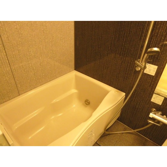 Bath. ※ The photograph is the other room