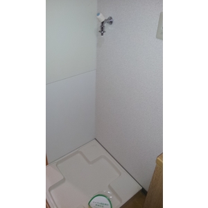 Other Equipment. Washing machine in the room is fully equipped.