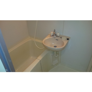 Bath. Becoming another bus toilet.