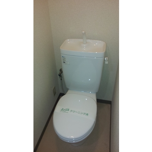 Toilet. It is kept clean the toilet.