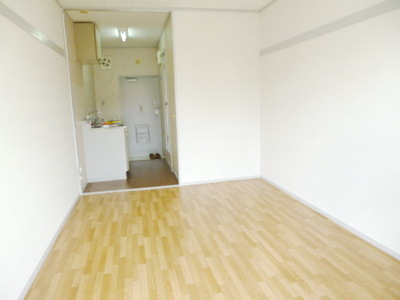 Other room space. Western style room