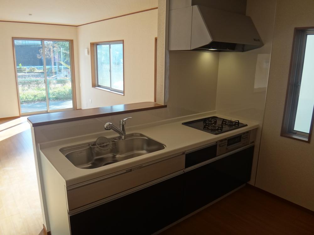 Kitchen. Indoor (12 May 2013) Shooting