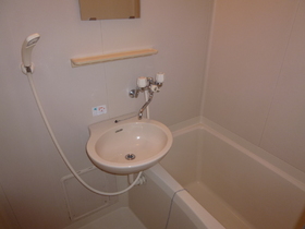 Bath. Bathroom (reference photograph)