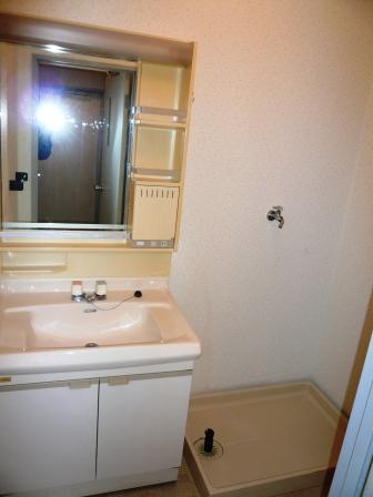 Washroom. Independent basin & washing machine inside the room