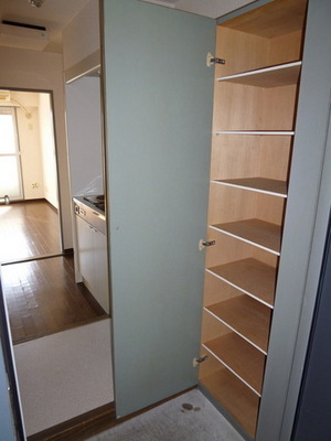 Entrance. Entrance space