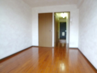 Other room space. Western style room