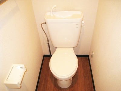 Toilet. Toilet