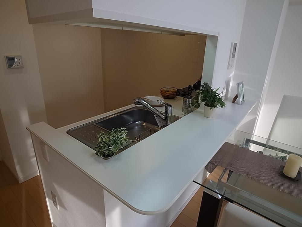 Kitchen. Indoor (12 May 2013) Shooting