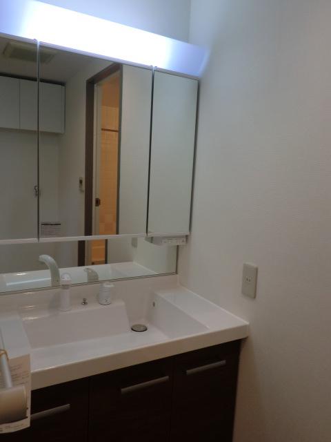 Wash basin, toilet. Bathroom vanity